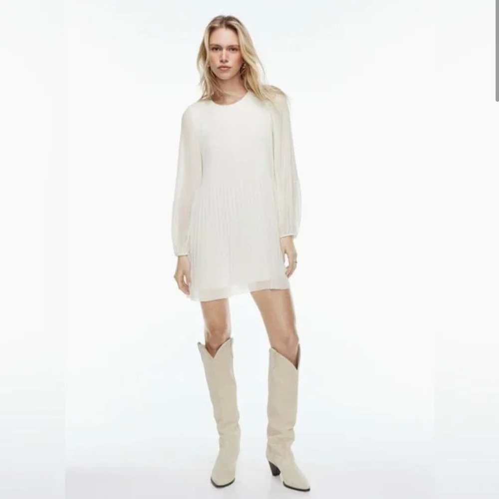 Aritzia Wilfred Daydreamer Mini Dress